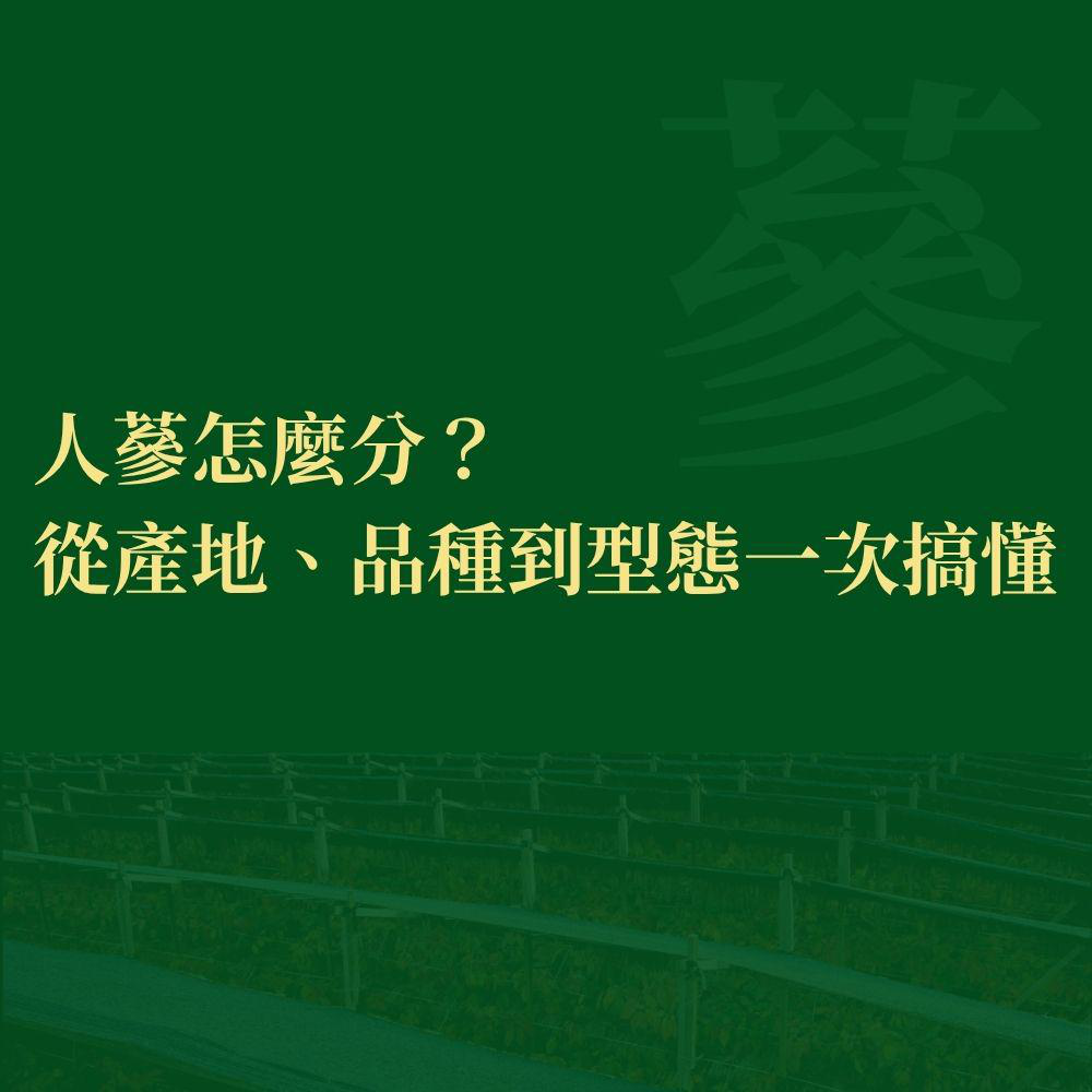 人蔘怎麼分？  從產地、品種到型態一次搞懂