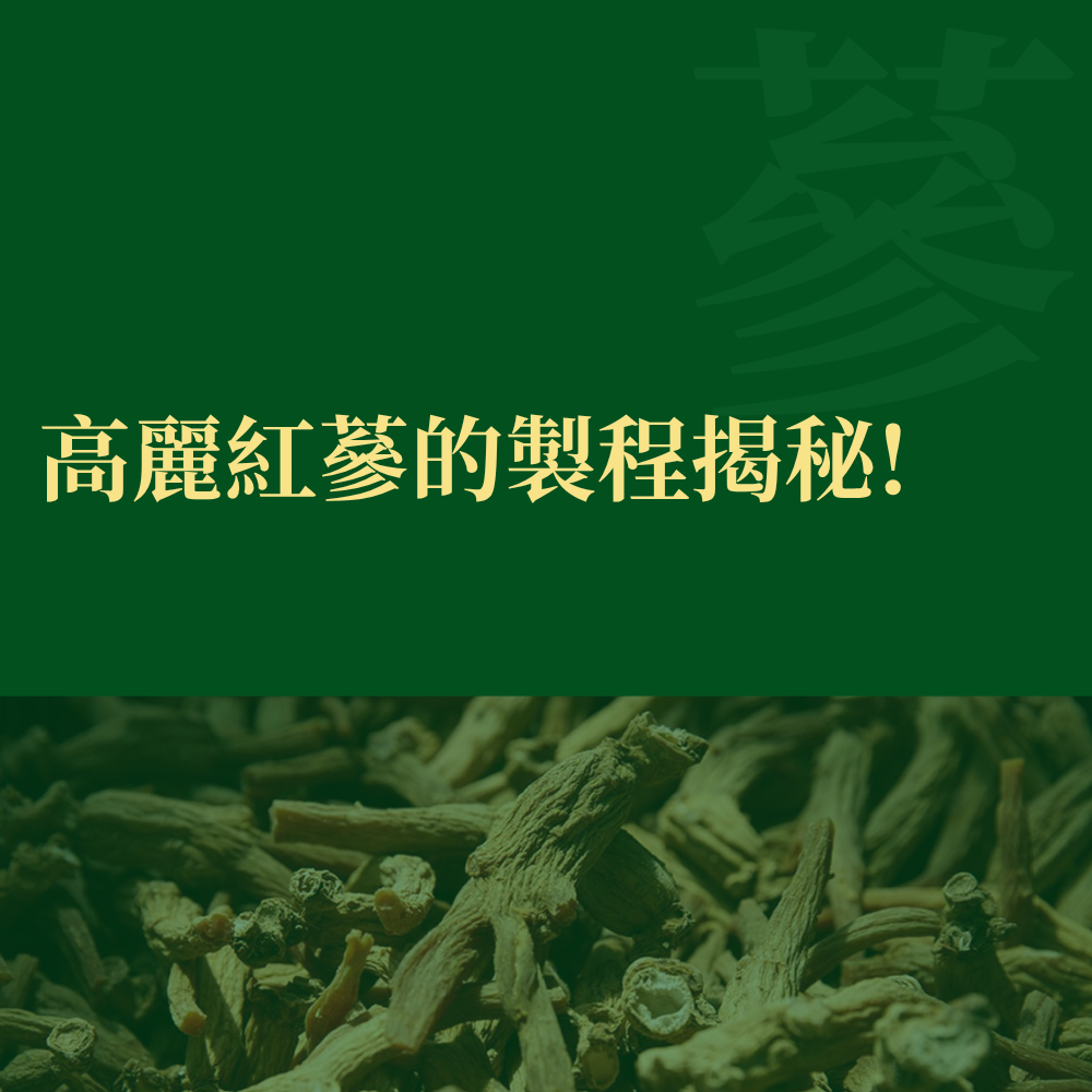 高麗蔘如何製成紅蔘？六年根水蔘到紅蔘的完整加工流程