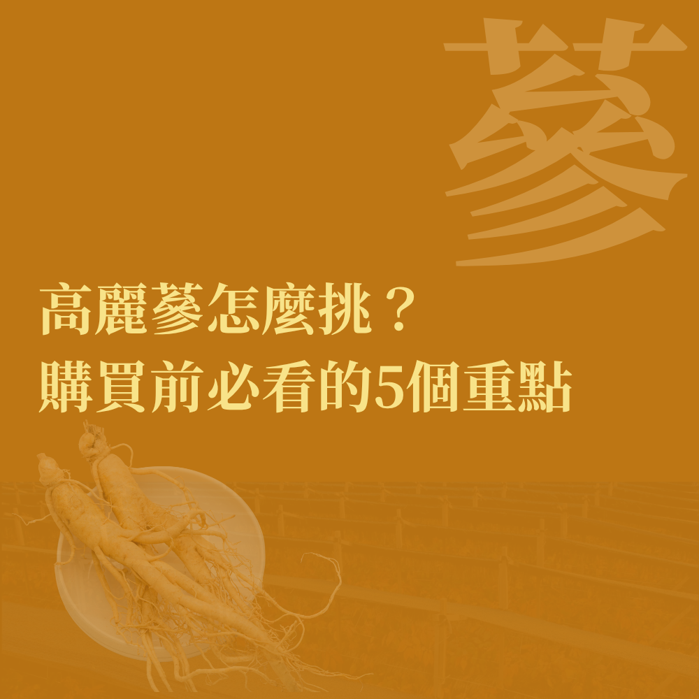 台北人蔘專賣店怎麼選？高麗蔘怎麼挑？購買前必看的5個重點