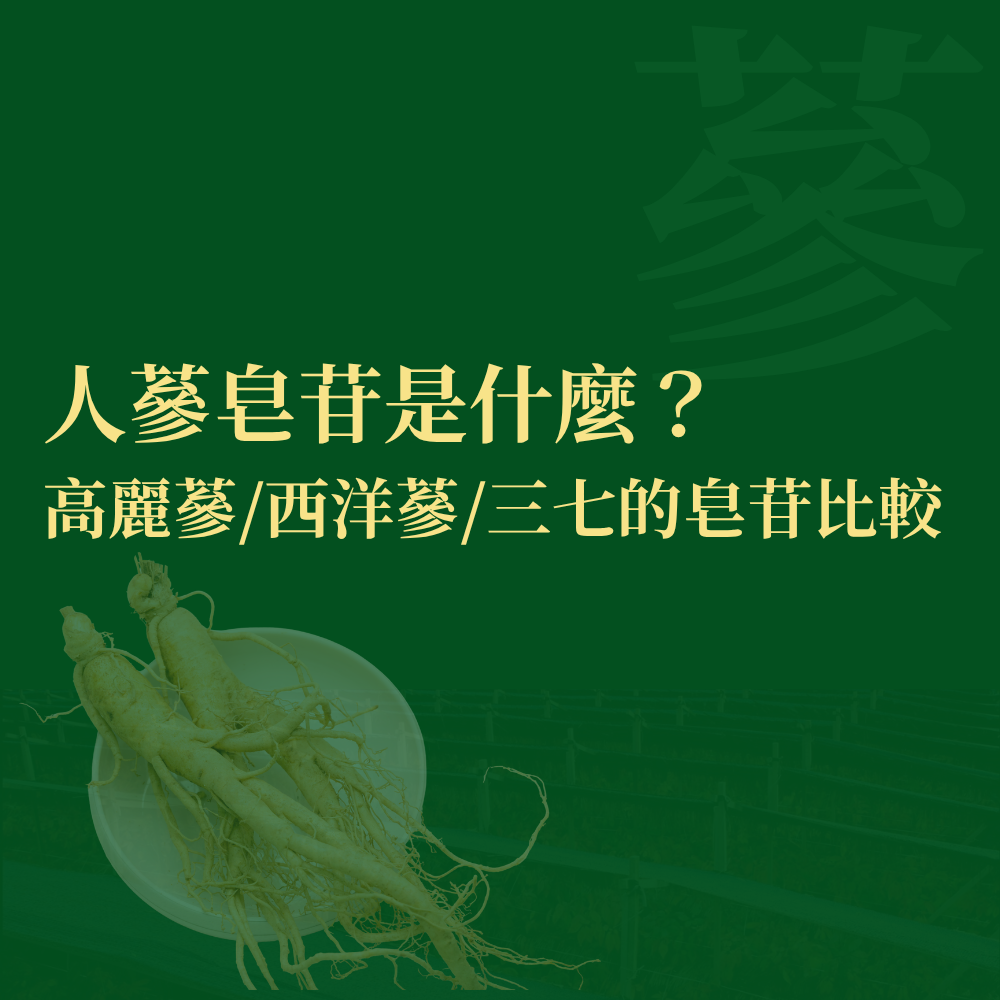 人蔘皂苷是什麼？高麗蔘/黑蔘/西洋蔘/三七的皂苷比較